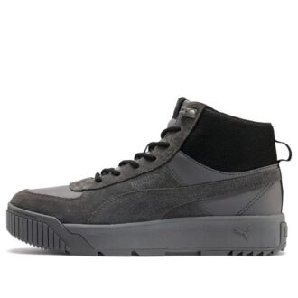 Tarrenz SB Sneakers Grey