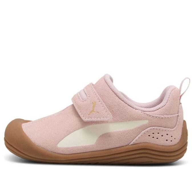 (TD) Kitten Premium “Mauve Mist”