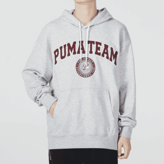 Team Hoodie “Grey”