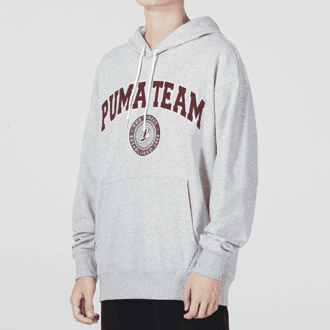 Team Hoodie “Grey”