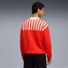 The NeverWorn VI Men Collared Sweater The NeverWorn VI Men Collared Sweater