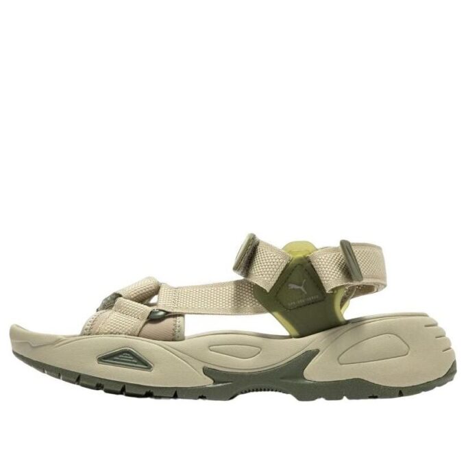 Traek Lite “Birch Tree”