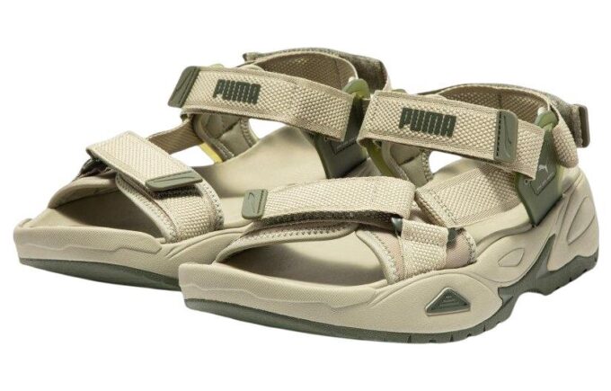 Traek Lite “Birch Tree”