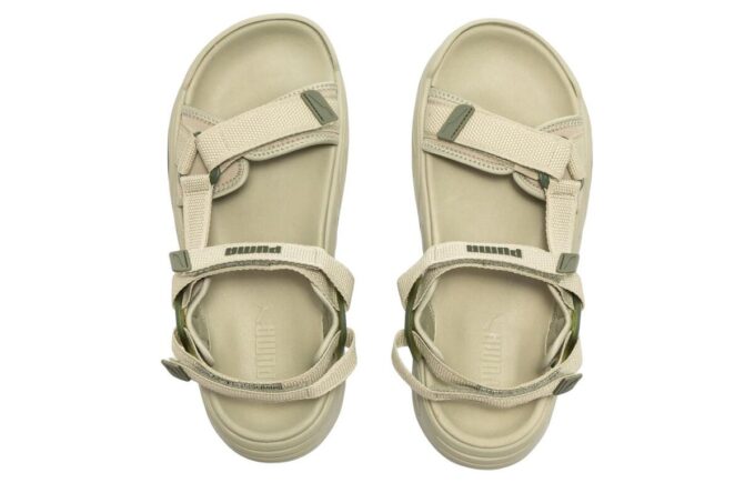 Traek Lite “Birch Tree”