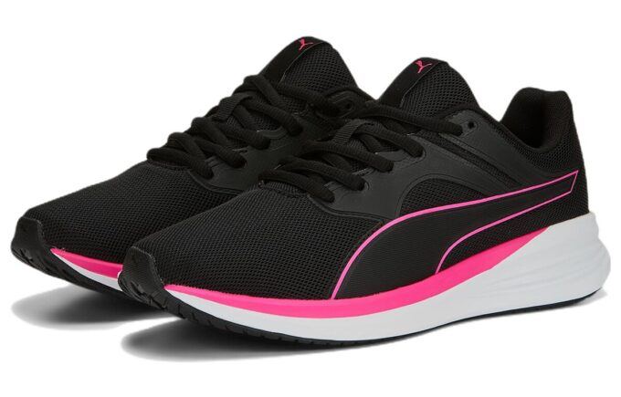 Transport “Black Ravish”