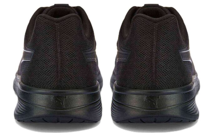 Transport “Triple Black”