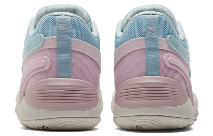 TRC Blaze Court “Cool Blue Winsome Orchid”