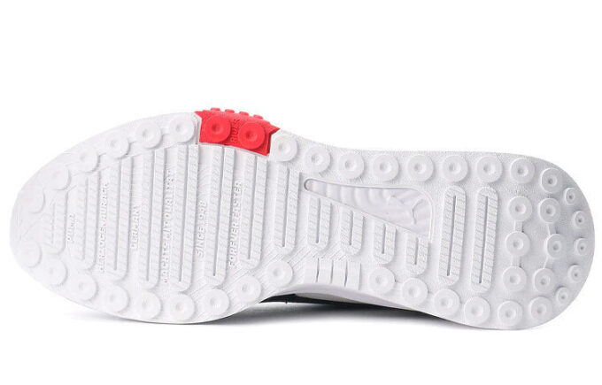 Wild Rider “Art of Sport”