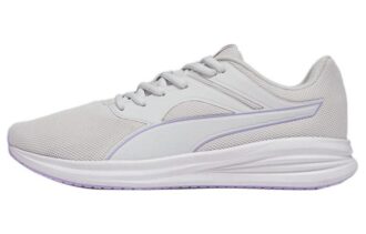 (WMNS) Transport “Feather Grey Vivid Violet”